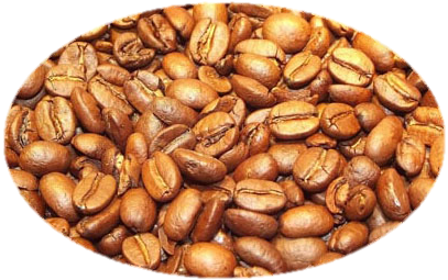رست کردن،بو دادن،رست،روست،برشته کردن دانه قهوه،انواع رست قهوه