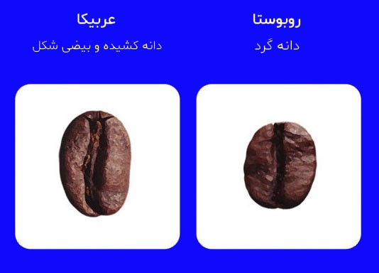 قهوه،قهوه عربیکا،قهوه روبوستا،عربیکا،ربوستا،اربیکا،فروش قهوه در شیراز،فروشگاه قهوه سه میم،کافی شاپ سه میم،قهوه مارک،قهوه برند،قهوه اصل