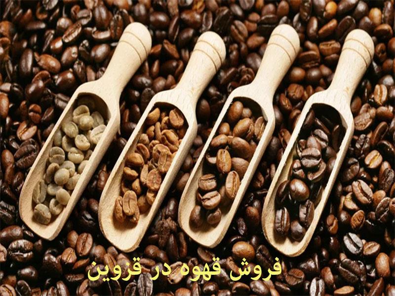 فروش قهوه در قزوین